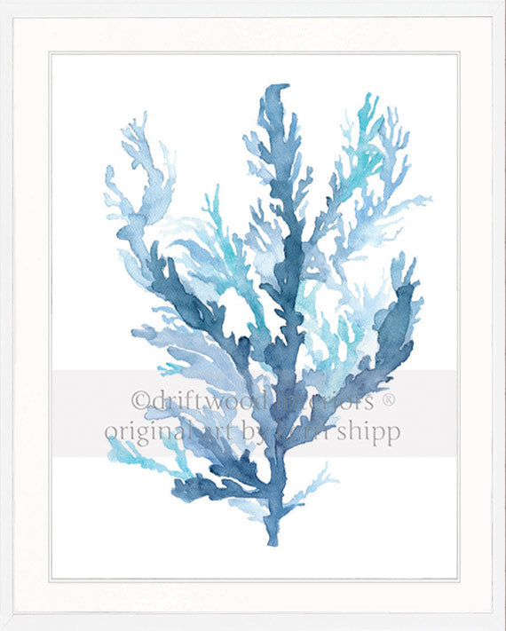 Designer boys wall art print - Pastel Seaweed II in white timber frame - Driftwood Interiors 