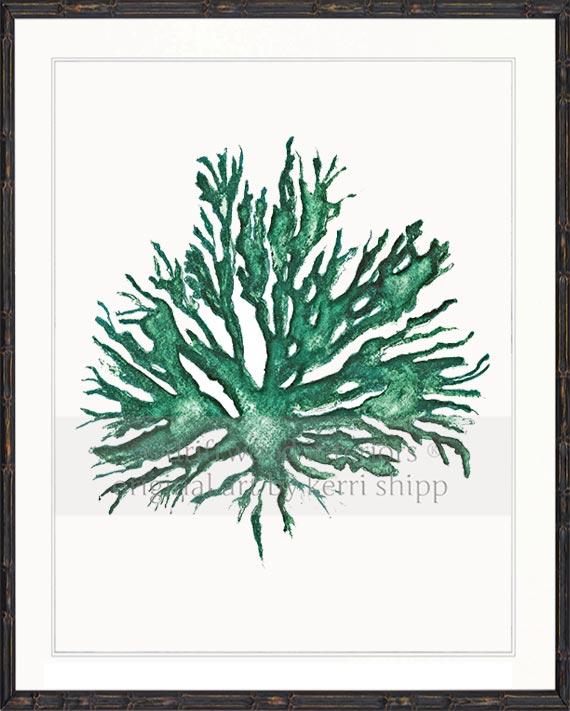 Sea Coral II in Emerald