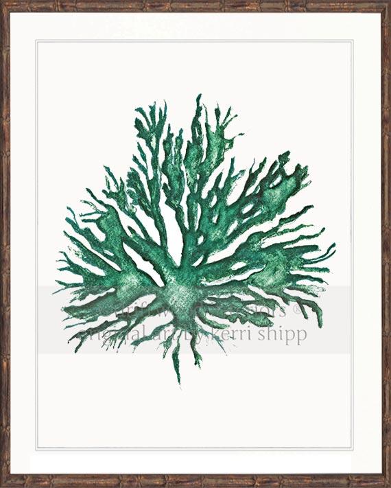 Sea Coral II in Emerald