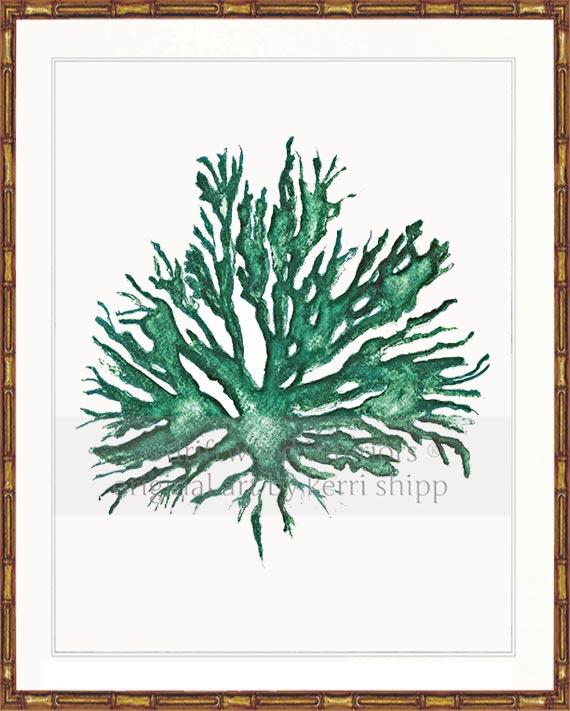 Sea Coral II in Emerald
