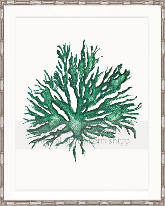 Sea Coral II in Emerald