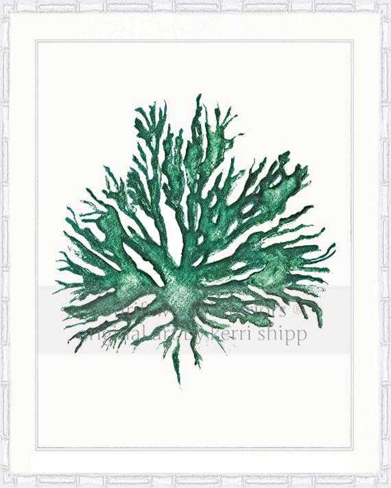 Sea Coral II in Emerald
