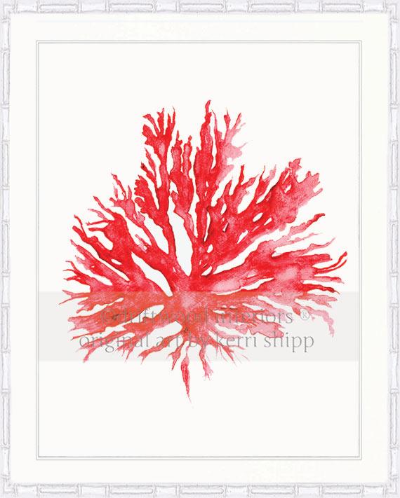 Sea Coral II in Ruby