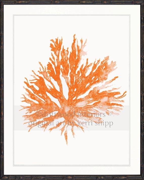 Sea Coral II in Tangerine