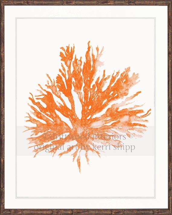 Sea Coral II in Tangerine