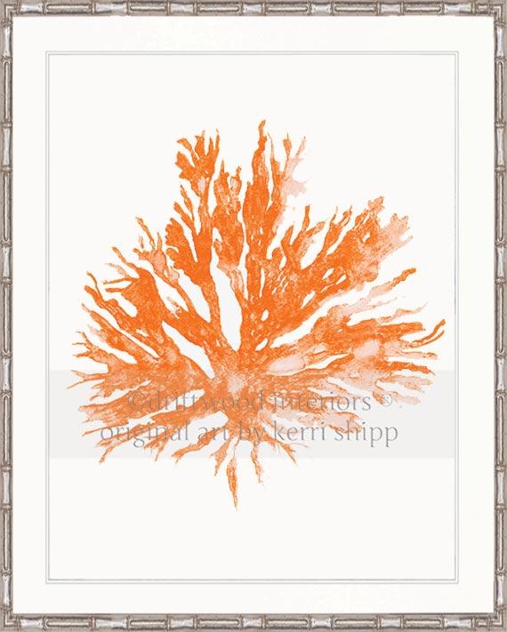 Sea Coral II in Tangerine