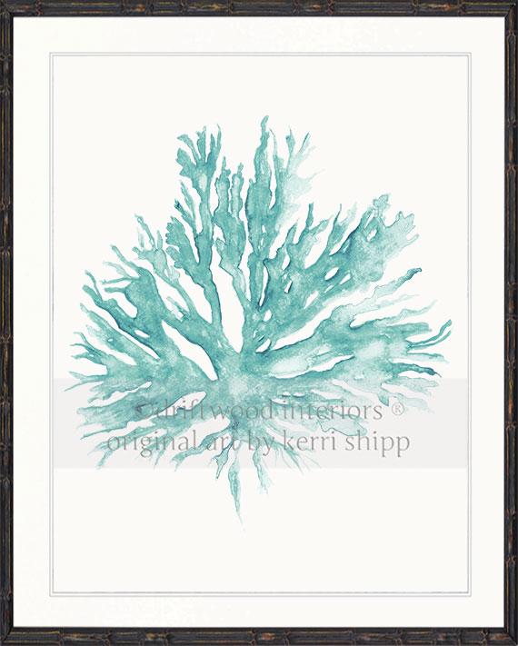 Sea Coral II in Woodlawn