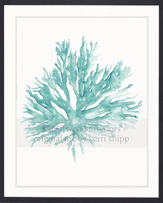 Sea Coral II in Woodlawn