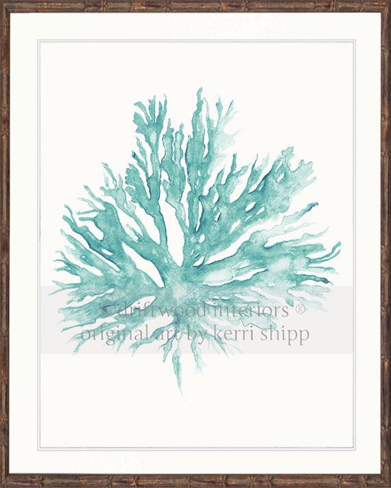 Sea Coral II in Woodlawn