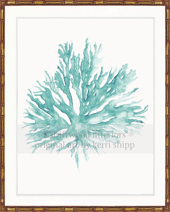 Sea Coral II in Woodlawn