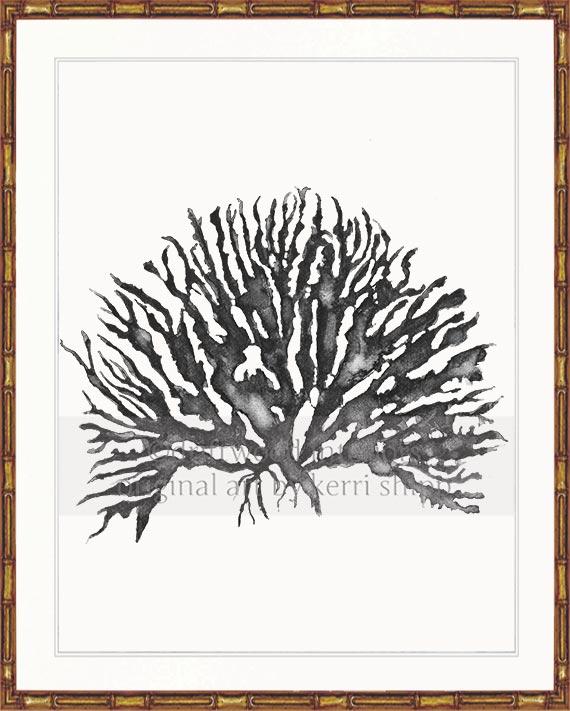 Sea Coral IV in Charcoal