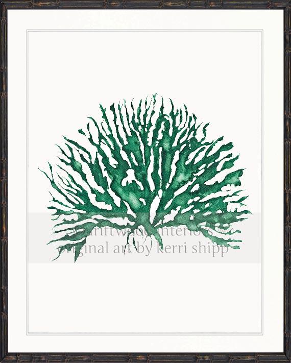 Wall Art Print - Sea Coral IV in Emerald Green in black bamboo frame - Driftwood Interiors