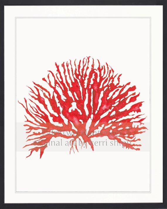 Sea Coral IV in Ruby