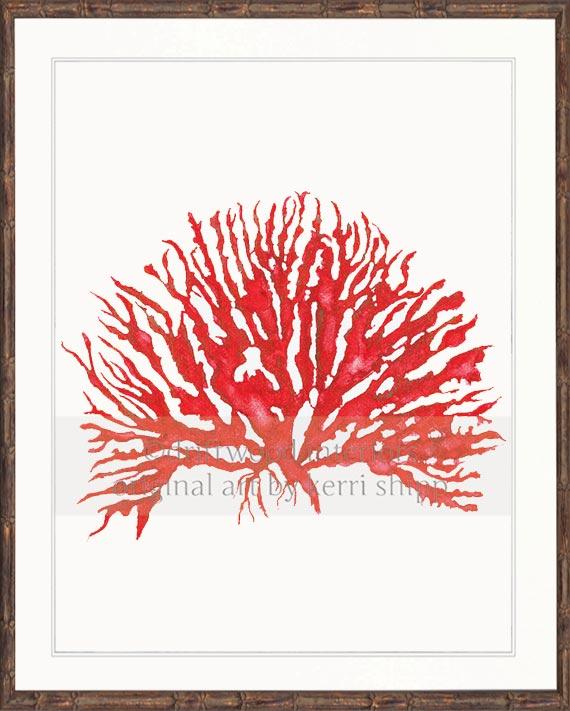 Sea Coral IV in Ruby