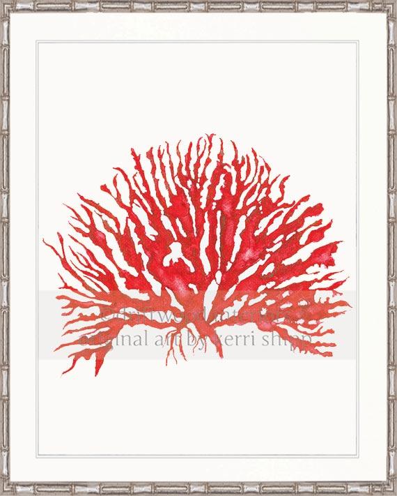 Sea Coral IV in Ruby