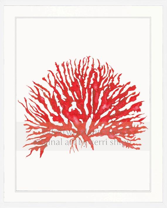 Sea Coral IV in Ruby