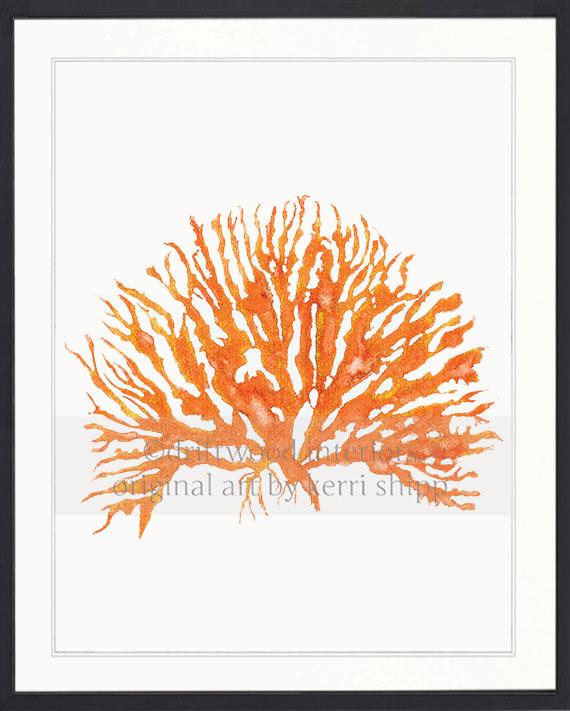 Sea Coral IV in Tangerine