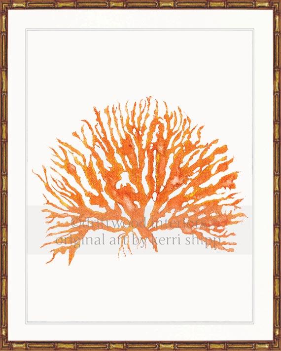 Sea Coral IV in Tangerine