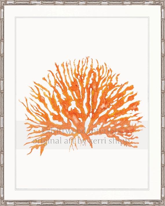 Sea Coral IV in Tangerine