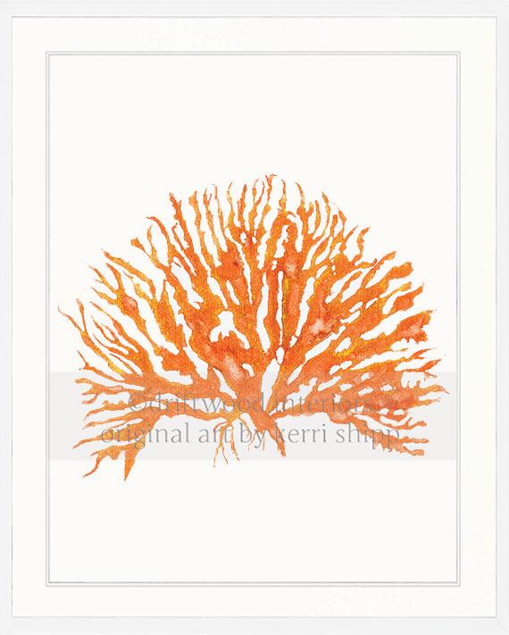 Sea Coral IV in Tangerine