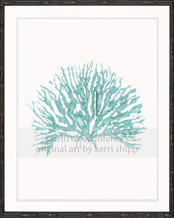 Sea Coral IV in Woodlawn