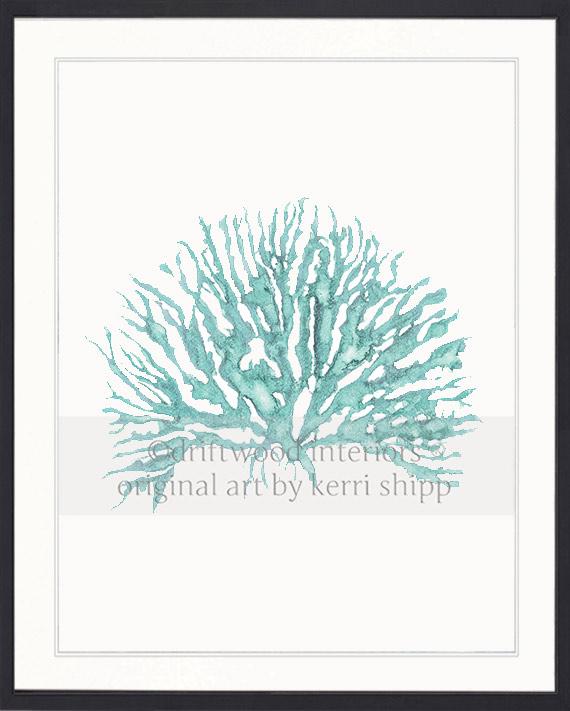 Sea Coral IV in Woodlawn