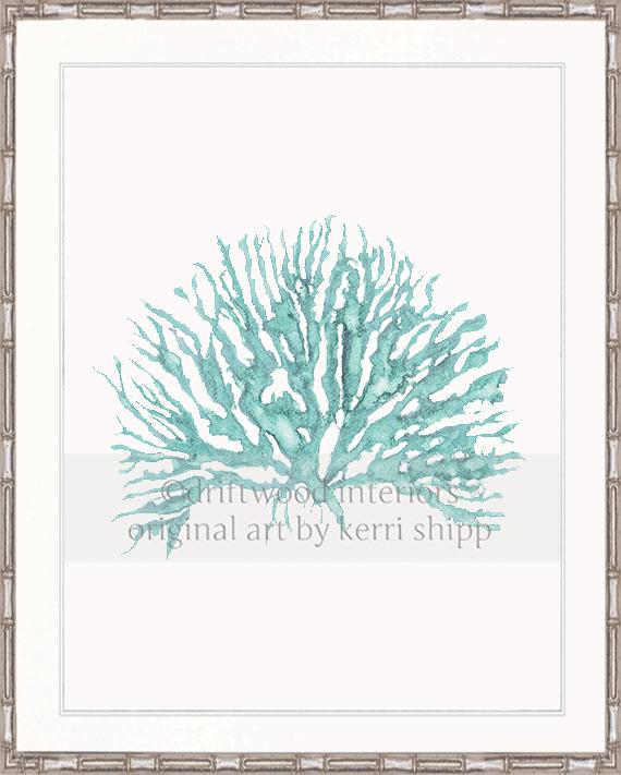 Sea Coral IV in Woodlawn