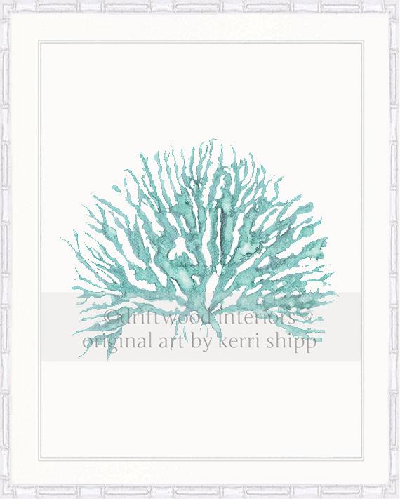 Sea Coral IV in Woodlawn