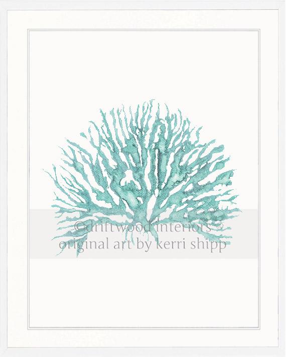 Sea Coral IV in Woodlawn