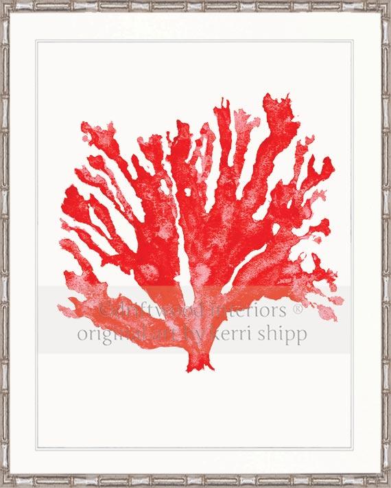 Coral Wall Art | Sea Coral Art Print in Ruby Red | Driftwood Interiors