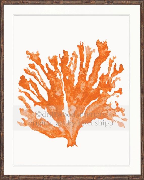 Sea Coral in Tangerine