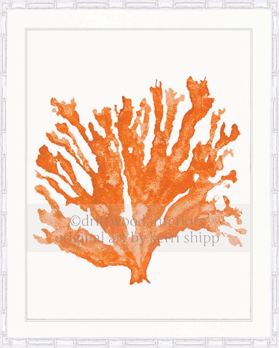 Sea Coral in Tangerine