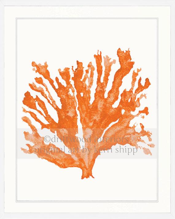 Sea Coral in Tangerine