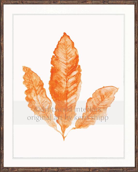 Coral Wall Art Print - Sea Fan in Tangerine in brown bamboo frame - Driftwood Interiors