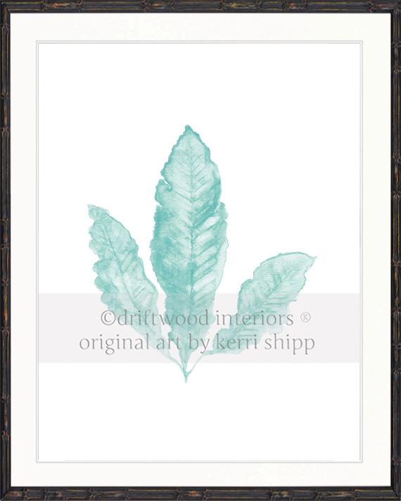 Sea Fan II in Woodlawn