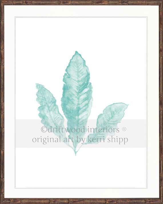 Sea Fan II in Woodlawn