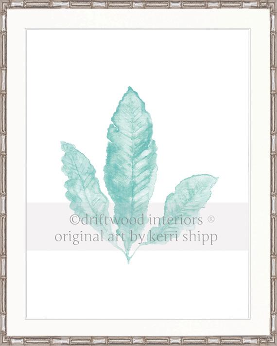 Sea Fan II in Woodlawn