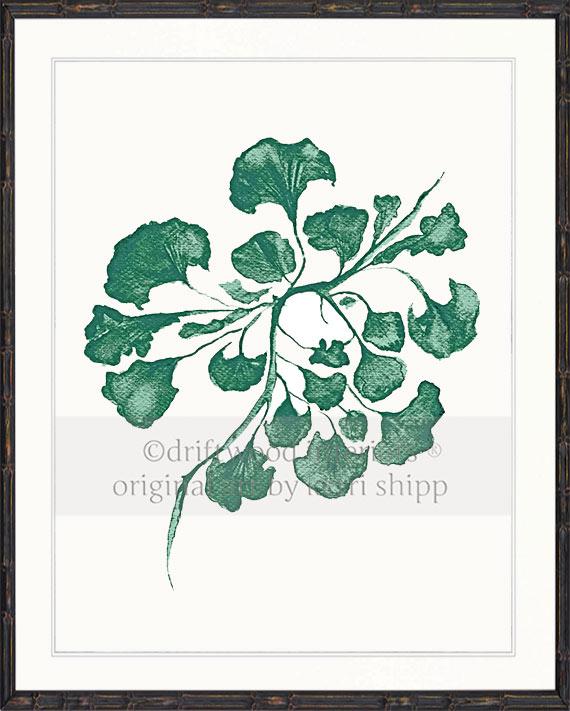 Sea Fan IV in Emerald