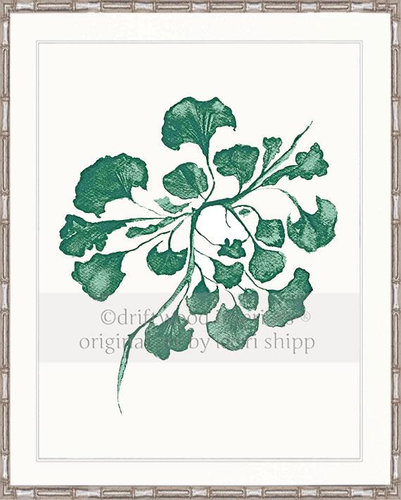 Sea Fan IV in Emerald