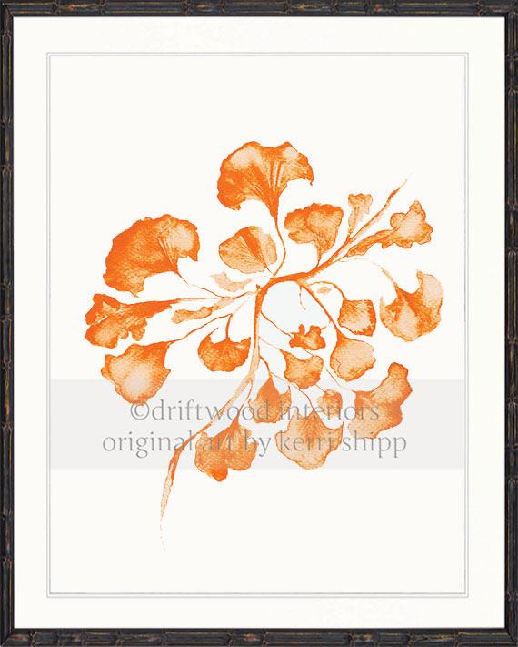 Sea Fan IV in Tangerine