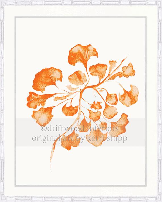 Sea Fan IV in Tangerine