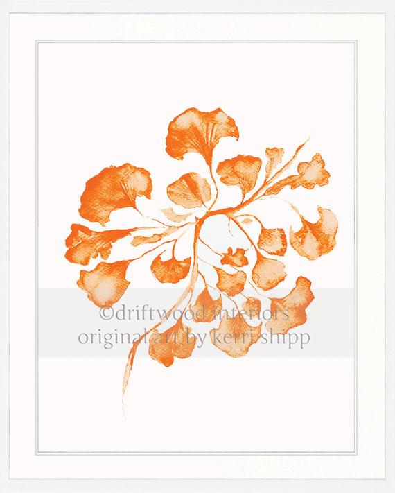 Sea Fan IV in Tangerine