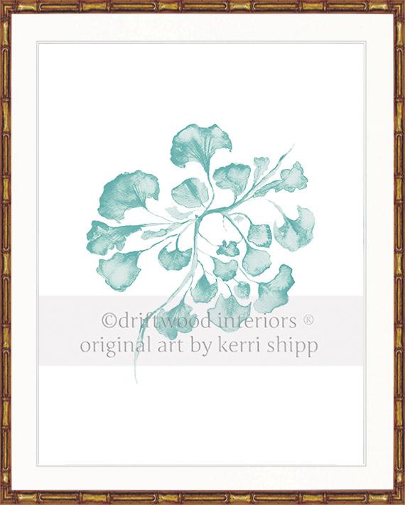 Sea Fan IV in Woodlawn