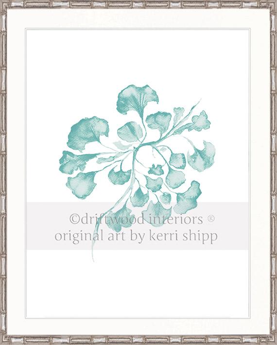 Sea Fan IV in Woodlawn