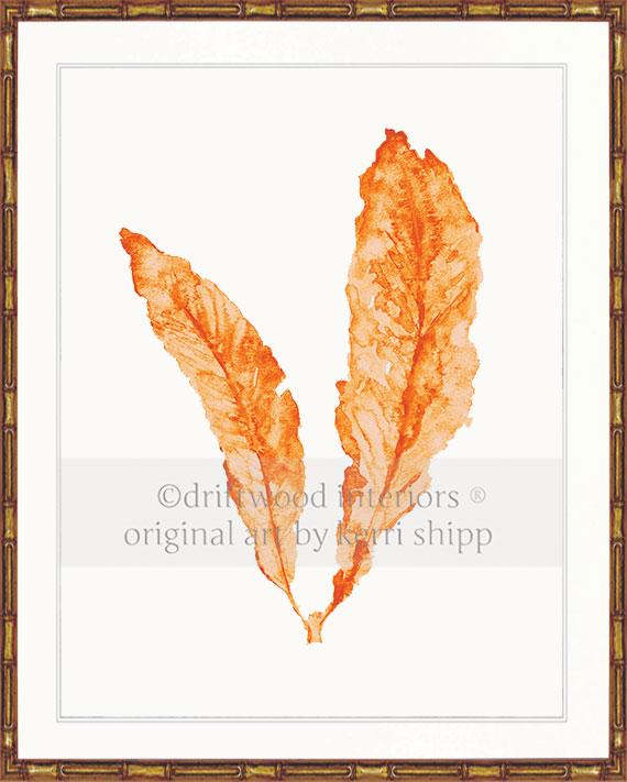 Sea Fan in Tangerine