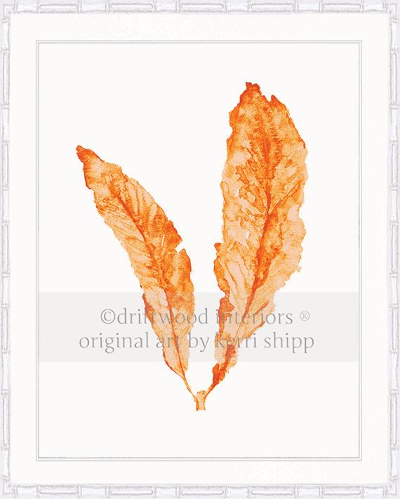 Sea Fan in Tangerine