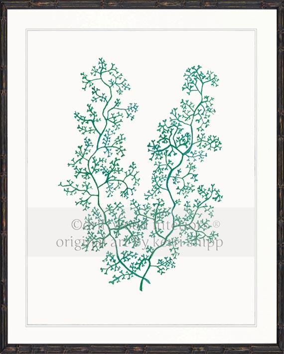 Sea Fern II in Emerald