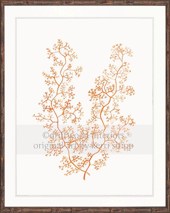 Sea Fern II in Tangerine