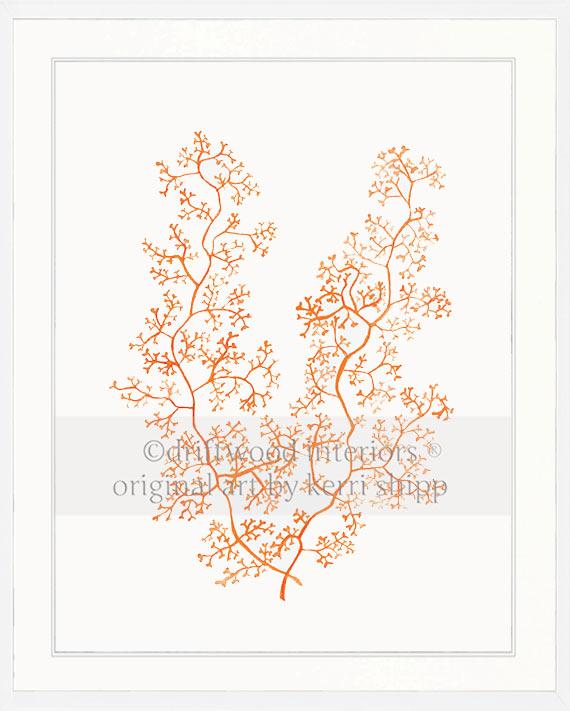 Sea Fern II in Tangerine