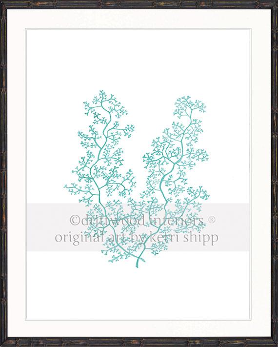 Sea Fern II in Woodlawn